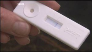 negative phytophthora test