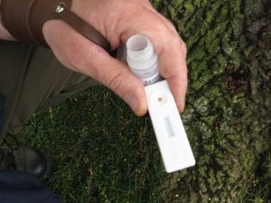 a man using a lateral flow test to detect phytophthora ramorum 