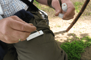 In-field plant disease test being used by a forestry manager