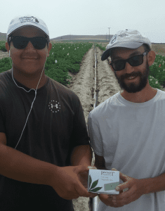 workers from potadaho seed services with box of PVY tests