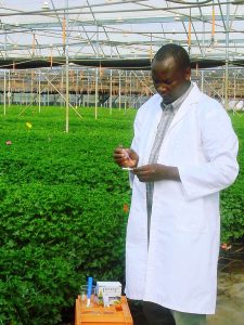 Pocket Diagnostic In Use Agricultural Plant Disease Management Urban Farming